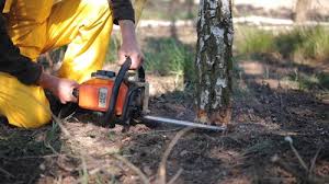 Best Storm Damage Tree Cleanup  in Woodson Terrace, MO